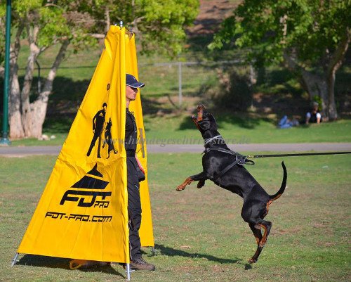 Schutzdienstversteck für K9 Training