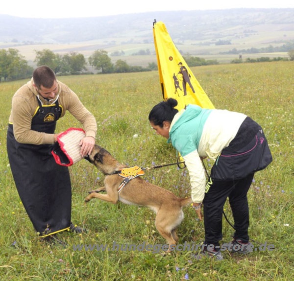 Hundeausrüstung Deutschland