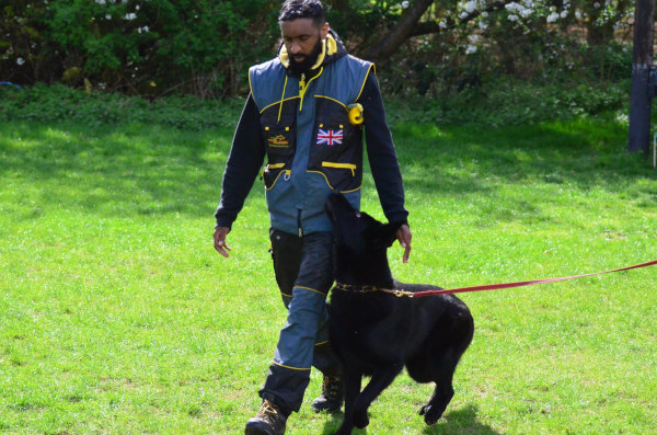 Trainingsanzug für Sporthund