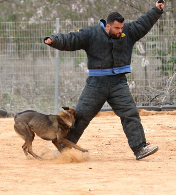 K9 Vollschutzanzug online kaufen