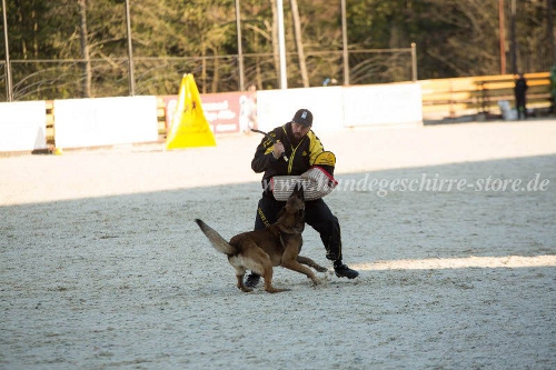 Wurfarm sport wettbewern hund