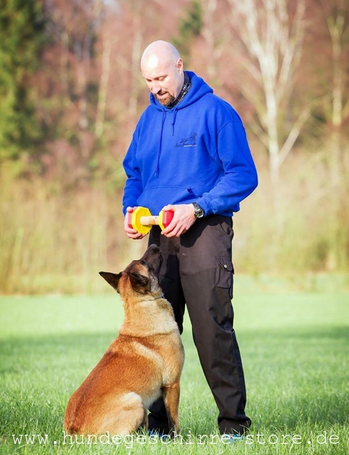 Hundehantel aus Holz kaufen