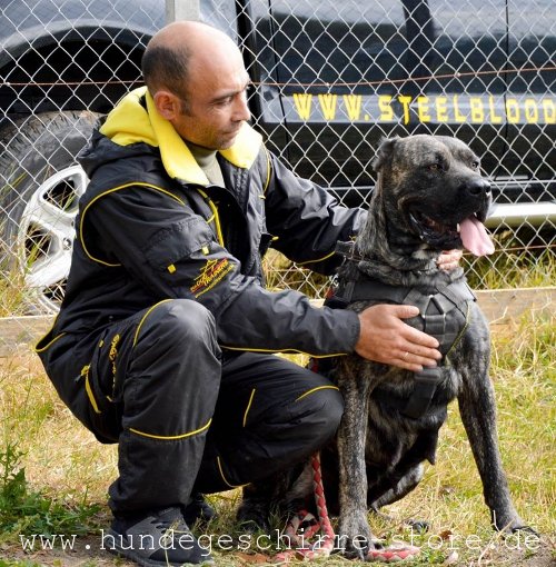 K9 Sports suit for IGP and Schutzhund