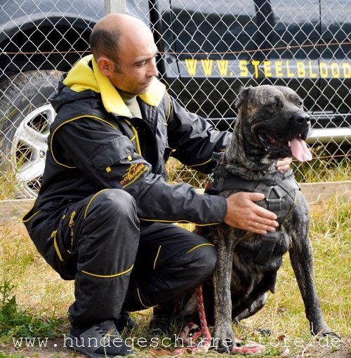 K9 Sportanzug für IGP und Schutzhund