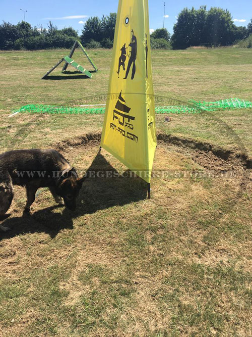 hochweriges Zelt für Schutzhund