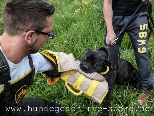 hochwertiger Schutzarm mit bequemen Handriffen