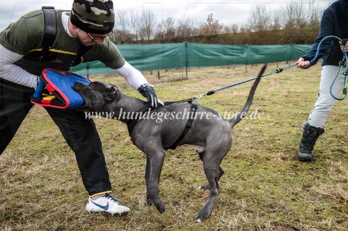 beißarm für pitbull Biß Entwicklung