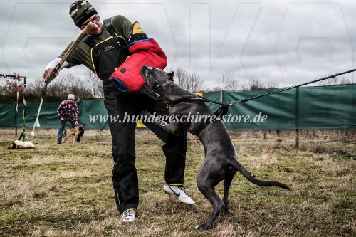 beißarm für pitbull bandog