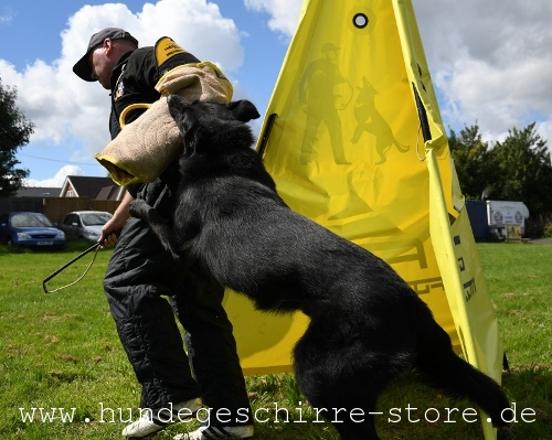 Schutzarm mit Verkleidung für Hundetraining