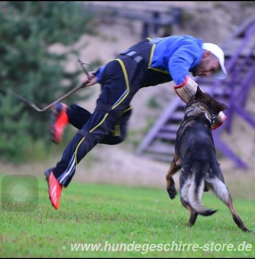 Schutzarm für professionelle IGP