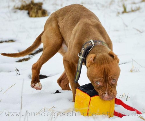 Leder Beißkissen für Hunde, bequem und sicher