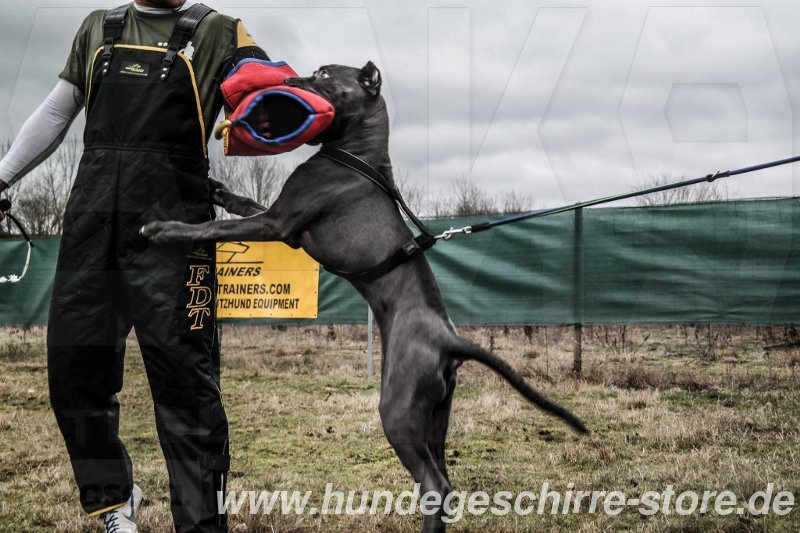Dog training trousers hot sale