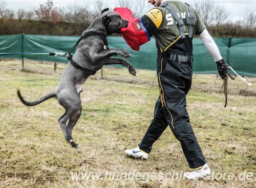 Hundetraining Hose aus nylon berlin kaufen