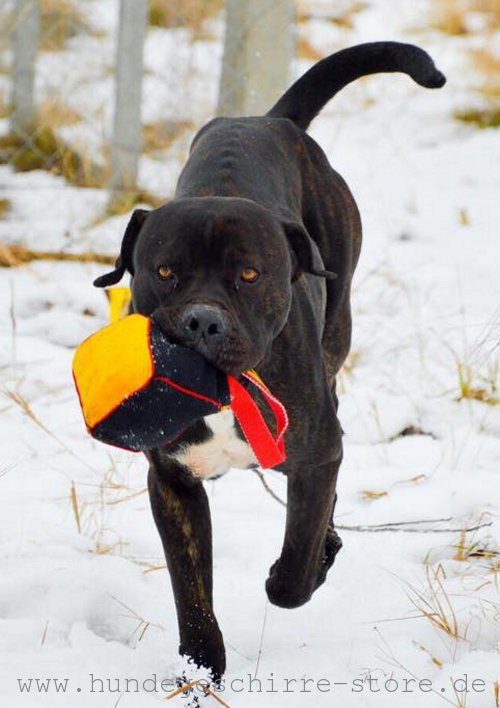 handliches Hunde Spielzeug