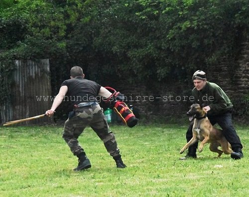 malinois training zubehör berlin