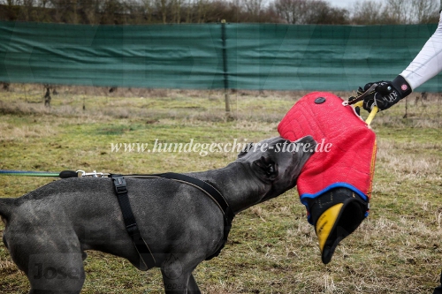 beißarm für pitbull schutzhund bandog