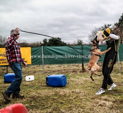 hetzarm schutzhund malinois bandog