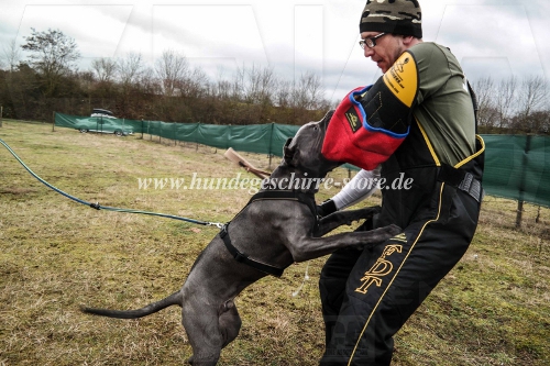 Beißarm french linen berlin steelblood bandog kennel