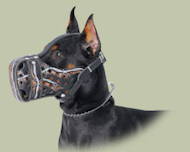 Leder Maulkorb mit Handbemalung für Dobermann Leder Maulkorb mit Handbemalung für Dobermann