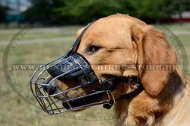 Maulkorb aus Draht für Golden Retriever, garantierte Qualität Maulkorb aus Draht für Golden Retriever, garantierte Qualität