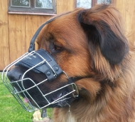 Maulkorb aus Draht für German Beardog mit Filz-Futter, bequem Maulkorb aus Draht für German Beardog mit Filz-Futter, bequem