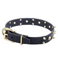 Halsband Hund Design mit Spikes und Schädeln Rock Stil
