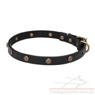 buy collars of leather with brass studs