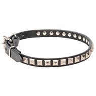 Leather Dog Collar studs design Buy
