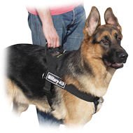 German Shepherd dog nylon  harness DE