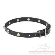 Enges Halsband mit vernickeltem Kegeln Leichtgewichtig Enges Halsband mit vernickeltem Kegeln Leichtgewichtig