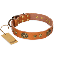 Hundehalsband Leder "Dandy Pet" FDT Artisan, hell-braune Farbe Hundehalsband Leder "Dandy Pet" FDT Artisan, hell-braune Farbe