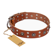 Hundehalsband aus Leder "Silver Elegance" FDT Artisan, tan Hundehalsband aus Leder "Silver Elegance" FDT Artisan, tan