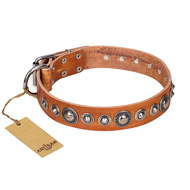 Leder Halsband für Hunde-Ausläufe "Daily Chic" FDT Artisan Leder Halsband für Hunde-Ausläufe "Daily Chic" FDT Artisan