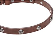 Collar leather
narrow rivets buy