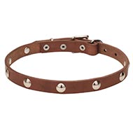 collar leather studded narrow
Buy