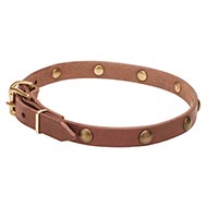Halsband Hund Leder Messing Nieten Dünnes Design Halsband Hund Leder Messing Nieten Dünnes Design