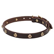 Leather
Dog Collar with brass studs with embossing