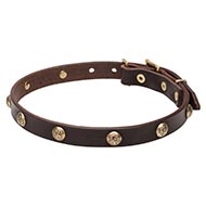 Leather
Dog Collar with brass studs with embossing