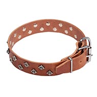 Buy Collars of leather luxury pet shop