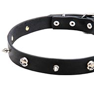 Buy Collar leather narrow skulls