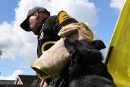 Beißarm und Jute Überzug für Hunde Ausbildung und Training Beißarm und Jute Überzug für Hunde Ausbildung und Training