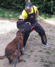 Hetzarm mit French Linen Verkleidung für Schutzhundetraining Hetzarm mit French Linen Verkleidung für Schutzhundetraining