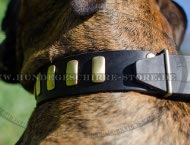 Hundehalsband Leder fuer Boxer, Hochwertigkeit und Komfort Hundehalsband Leder fuer Boxer, Hochwertigkeit und Komfort