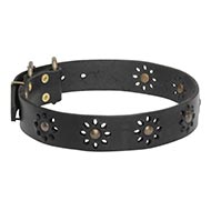 hundehalsband leder blumen design kaufen