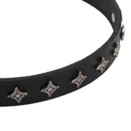 Buy Leather Dog Collar
with stars