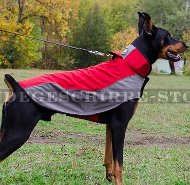 Hundemantel für Dobermann aus Nylon für Winterzeit