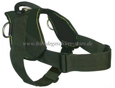 Beagle Harness Nylon H6