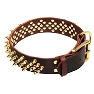 Designer Halsband Hund mit Spikes aus Messing