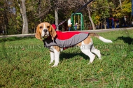 Hundemantel aus Nylon für Beagle, perfekt für Allwetter Hundemantel aus Nylon für Beagle, perfekt für Allwetter