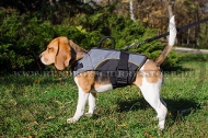 Nylon Hundegeschirr für Beagle, qualitativ und praktisch Nylon Hundegeschirr für Beagle, qualitativ und praktisch